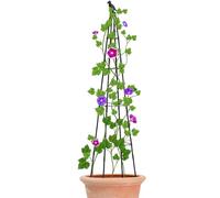 Obelisco Da Giardino - Verticale ad Altezza Regolabile | Traliccio Giardino 160 Cm Per Piante Rampicanti | per pomodori, uva, cetrioli, piselli, fiori, ortaggi in vaso, dentro e fuori