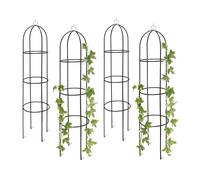 Obelisco per piante rampicanti Grigliato da giardino Traliccio decorativo