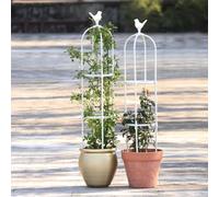 Obelisco per Piante Rampicanti, Traliccio da Giardino, Colonna di Rose Metallo+plastica, Gabbia per Pomodori 1 Pezzo, Forma di Gabbia per Uccelli Supporto per Piante in Vaso(Bianco,D 40x H 205cm)