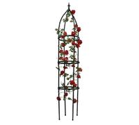 Obelisco per Rampicanti, Gabbie Pomodori E Supporti per Piante Supporto per Piante in Vaso, per Tralicci Luffa Cetriolo Arco per Piante Rampicanti All'aperto(Black,25x210cm)