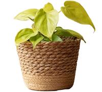 Obelunrp Cesto per Piante, Vaso per Piante in alghe Naturali con Rivestimento Impermeabile, Piccoli vasi da Fiori Decorativi da 6, 1x4, 3 Pollici per Interni Domestici, vasi in Vimini