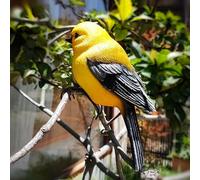 Obelunrp Figurine per uccelli, Simulazione da 17 cm Resin Statue di uccelli, decorazione decorativa per abbracci per patio balcone giardino prato (giallo)