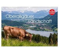 Oberallgäuer Landschaft (Wandkalender 2026 DIN A3 quer), CALVENDO Monatskalender: Die Landschaft des Oberallgäus zeigt eindrucksvoll alle Jahreszeiten und diese Gegend ist immer eine Reise wert.