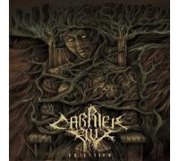 Objection by Carrier Flux (2013-06-01)