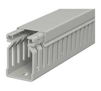 OBO Bettermann 6178010 Canale porta cavi (L x L x A) 2000 x 25 x 40 mm 1 pz. G