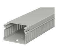 OBO Bettermann 6178014 Canale porta cavi (L x L x A) 2000 x 60 x 40 mm 1 pz. G