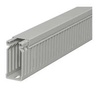 OBO Bettermann 6178028 Canale porta cavi (L x L x A) 2000 x 25 x 60 mm 1 pz. G