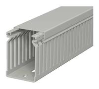 OBO Bettermann 6178031 Canale porta cavi (L x L x A) 2000 x 40 x 60 mm 1 pz. G