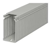 OBO Bettermann 6178052 Canale porta cavi (L x L x A) 2000 x 40 x 80 mm 1 pz. G