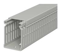 OBO Bettermann 6178205 Canale porta cavi (L x L x A) 2000 x 40 x 60 mm 1 pz. G