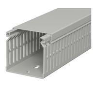 OBO Bettermann 6178207 Canale porta cavi (L x L x A) 2000 x 60 x 60 mm 1 pz. G