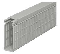 OBO Bettermann 6178225 Canale porta cavi (L x L x A) 2000 x 25 x 80 mm 1 pz. G