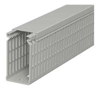 OBO Bettermann 6178227 Canale porta cavi (L x L x A) 2000 x 40 x 80 mm 1 pz. G