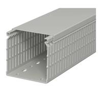 OBO Bettermann 6178231 Canale porta cavi (L x L x A) 2000 x 80 x 80 mm 1 pz. G