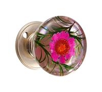 Obotsnoi Pomello per porta in cristallo, in resina trasparente e metallo, maniglia decorativa per porta del cassetto dell'armadio, per interni di casa, in resina resistente