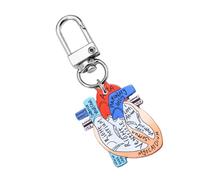 Obotsnoi Portachiavi anatomico con ciondolo a forma di cuore, accessorio educativo per studenti di fisica e professionisti sanitari