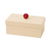 Obotsnoi Scatola di immagazzinaggio efficiente con elegante scatola con coperchio a sfera per l'organizzazione a casa o il lavoro contenitore portatile