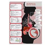 Obstetric Emergency Response Poster for the Critically Ill Pregnant Patient Educational Chart for Simulation Lab(Unframed,08x12inch(20x30cm))