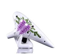 Ocarina 12 Buche Per Principianti Contralto C Tune 6 Buche Per Studenti Adulti A Sei Buche Professionali Ac Dodici Buche Tao Xun Strumento Musicale (Color : 07)