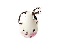 Ocarina professionale Ocarina A Sei Fori Professionale Per Principianti Strumento Contralto Accordato In AC Per Adulti(2)