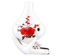 Ocarine Strumento musicale Ocarina a 6 fori Ocarina Alto C Scholar Entry for studenti adulti SND Regalo creativo for la scuola di compleanno dei bambini Classico
