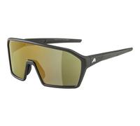Occhiali da sole Alpina Ram Q-Lite Noir