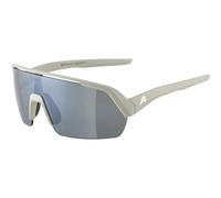 Occhiali da sole Alpina Turbo HR Gris