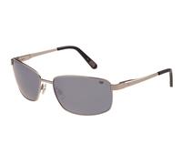 Occhiali Da Sole Caterpillar Polarizzati Uomo CTS-8030 002P Argento/Marrone