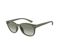 Occhiali da Sole Emporio Armani EA4225U 60998E - 53/20/145