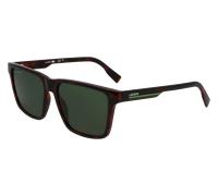 Occhiali da Sole LACOSTE L6039S N 214 HAVANA 57/16/145 Uomo