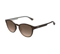Maui Jim Mj0636s002 Occhiali, Shiny Dark Havana W/Trans Yllw, 50-20-145 Unisex-Adulto