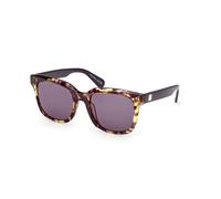 Occhiali da Sole Max &Co MO0146 56Y coloured havana 54/20/140 Donna