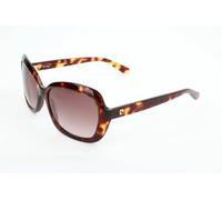 Occhiali da Sole Pierre Cardin P.C. 8408/S HAVANA 56/17/135 Donna