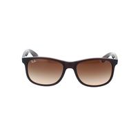 Occhiali da Sole Ray-Ban Andy RB4202 607313 - 55/17/145