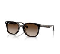 Occhiali da Sole Ray-Ban RB4461D 710/13 - 64/17/145