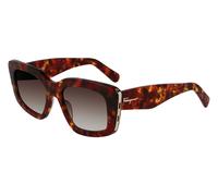 Occhiali da Sole Salvatore Ferragamo SF1024S Red Havana/Brown 52/19/145 donna
