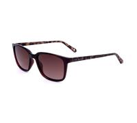 Occhiali da Sole Ted Baker TB1529 wine 53/17/150 Uomo