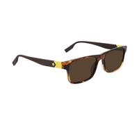 Occhiali da sole Uomo Converse CV520S-RISE-UP-242 Ø 55 mm
