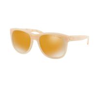 Occhiali da sole Uomo Ralph Lauren RL8141-56467P Ø 50 mm