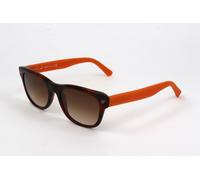 Occhiali da Sole Web WE0102 HAVANA 52/18/145 Unisex