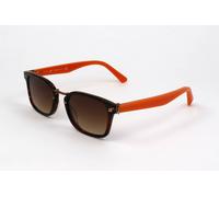 Occhiali da Sole Web WE0113 53F BLONDE HAVANA 53/20/145 Unisex