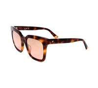 Occhiali da Sole Web WE0222 52Z DARK HAVANA 49/19/ WOMAN
