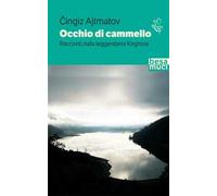 Occhio di cammello. Racconti dalla leggendaria Kirghizia