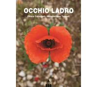 Occhio ladro