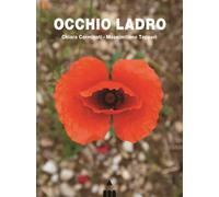 Occhio ladro