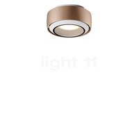 Occhio Più R Alto V Volt C100 Lampada da soffitto LED, testa dorato opaco/rosone bianco opaco/copertura bianco opaco - 3.000 K