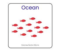 Ocean: A little book about sea creatures for children