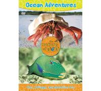 Ocean Adventures: Fins, Foliage, and Shoreline Fun