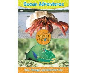 Ocean Adventures: Fins, Foliage, and Shoreline Fun
