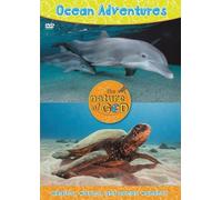 Ocean Adventures: Whales, Waves, and Ocean Wonders